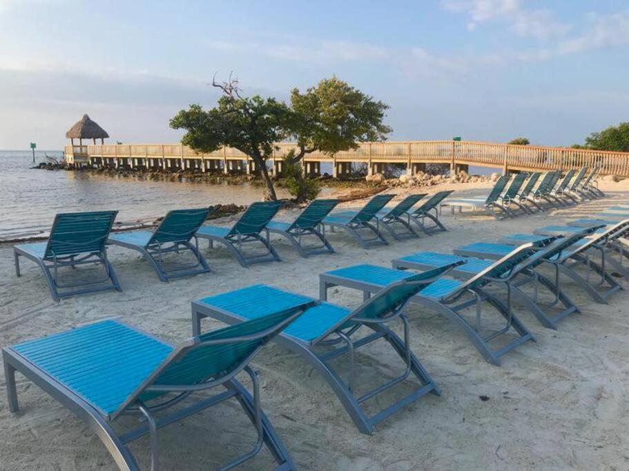 Welcome To The Pelican Lodge ! Tavernier Exteriör bild
