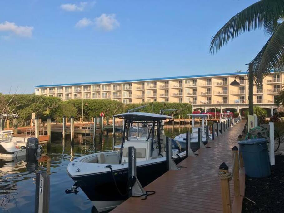 Welcome To The Pelican Lodge ! Tavernier Exteriör bild